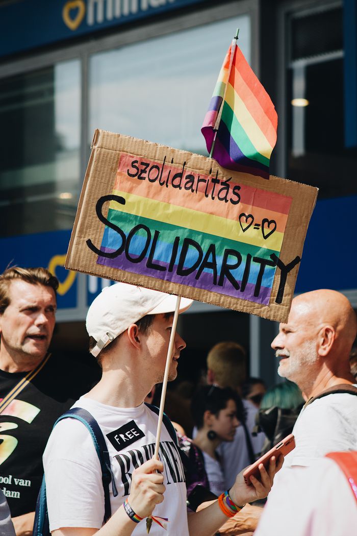 services-01 A vibrant protest scene with participants holding a solidarity placard and rainbow flag.